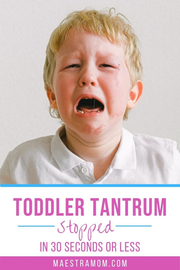 Stop A Toddler Tantrum In 30 Seconds Or Less - Maestra Mom