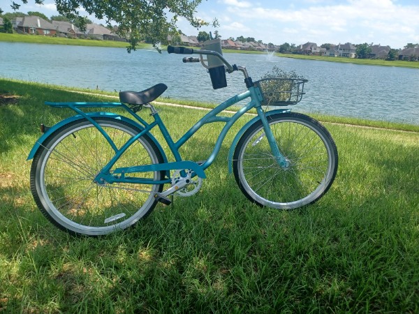 Sanford beach cruiser bike parked beside a lake.