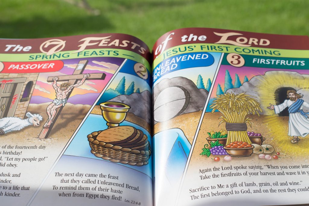 The Rhyme and Reason Series Leviticus open page