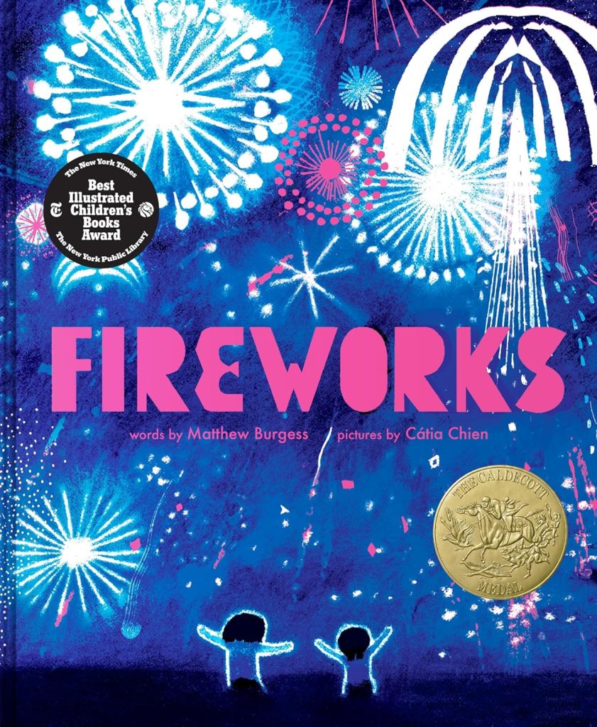 Fireworks book by Matthew Burgess